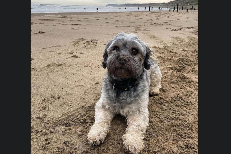 Ted from Whitby enjoying the beach!