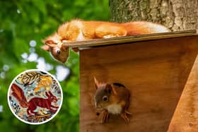 After a slow start the trees at the Yorkshire Arboretum near Castle Howard are reaching their full glory, and complimenting the trees will be an exciting exhibition of new work by York artist Mark Hearld. (Pic: Ian Thomas)