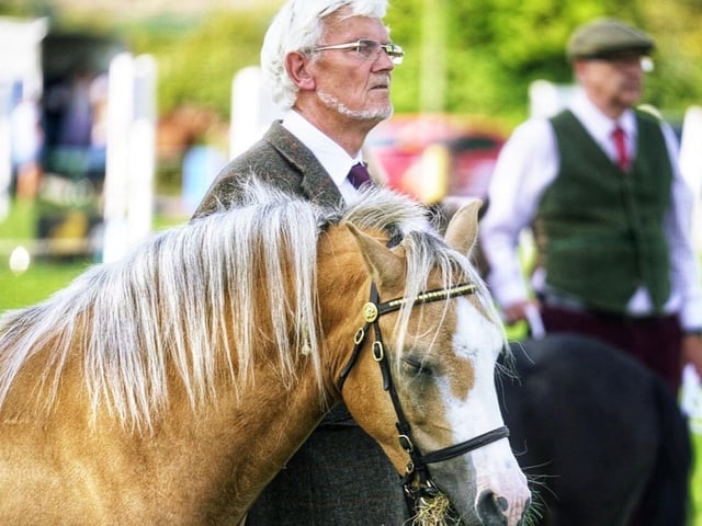 Watching on at Danby Show.