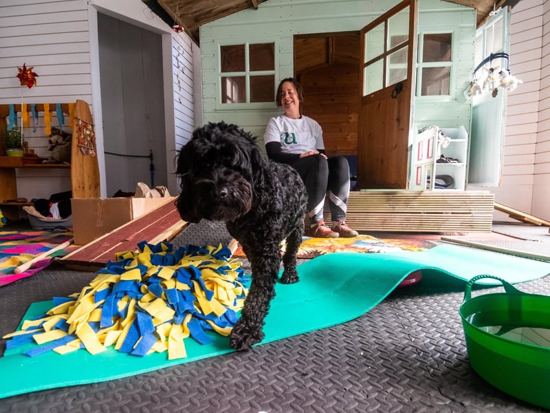 Laura says: "A lot of dogs have just walked on a pavement, or in Scarborough go on the beach. Beaches are fine except there's not a lot of interest from the dog, a lot of people are ball throwing but that's not a natural behaviour."