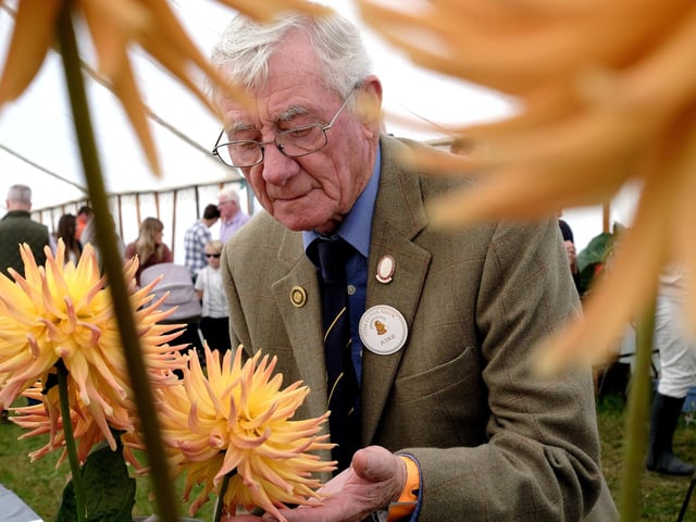 Geoff Gardener judging the flowers
