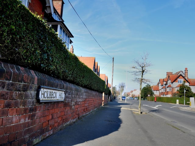 The proportion of this neighbourhood with tree canopy is 24.1 per cent.