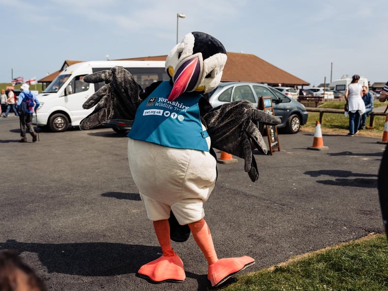 There will be a Yorkshire Puffin Contest to find Yorkshire’s best puffin performer, with a prize for the best entry.