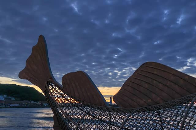 Beautiful blue before sunrise, captured by Beverley Senturk.