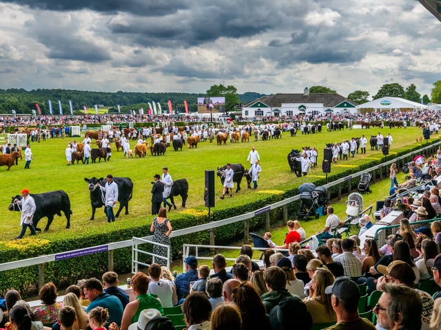 The livestock lined up during the Grand Cattle Parade in the main ring on the final day of the show
