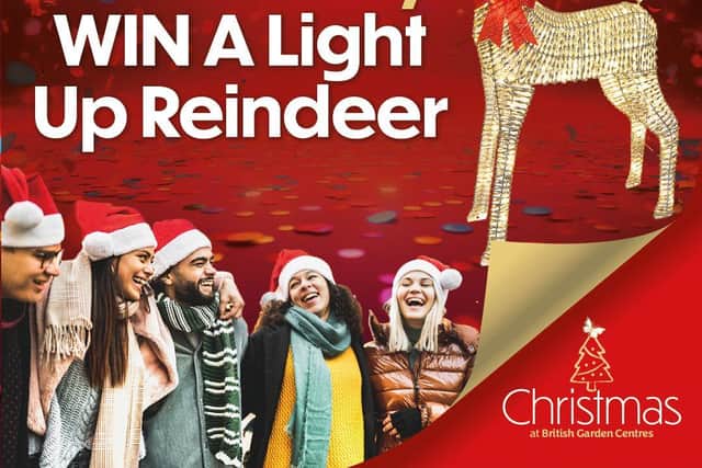Win a light up reindeer this Christmas with our community giveaway