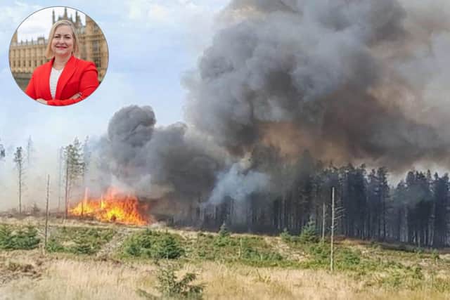 The devastating Langdale Moors fire of summer 2025 and, inset, MP Alison Hume.