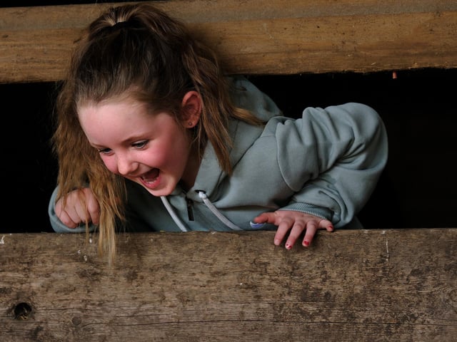 Everyone will have a great time visiting the lambs!