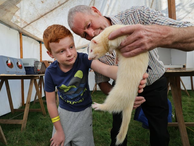 Jack with Grandad Gary Kendall checking the ferret.
