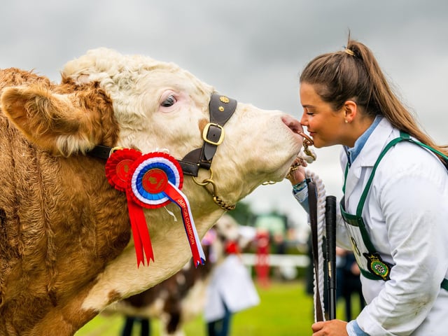Hannah Wood, 27, of Preston, with the British Simmental Junior Champion taking part in the Junior Interbreed Championship Class