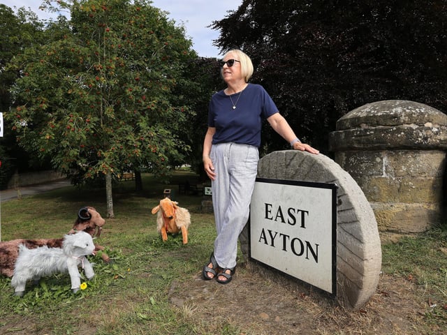 Organiser Julie Blenkion on the scarecrow trail. picture: Richard Ponter