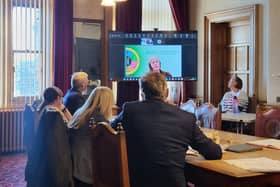 Scarborough Town Council planning and licensing committee meeting.  Courtesy Anttoni Numminen, LDRS
