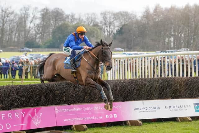 The Story So Far won the The Ripon Farm Services Sinnington Hunt Members, Subscribers and Farmers race. Photo by Tom Milburn Photography