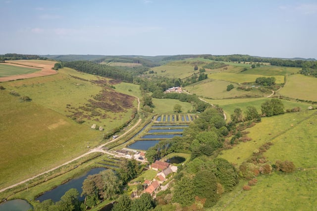 An overview of the stunning property and its surroundings.