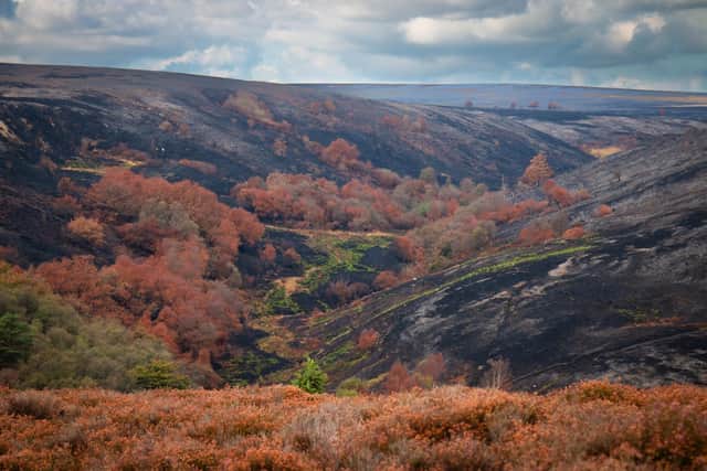A meeting to discuss the support available following the Langdale Moor Fire will take place at Whitby Pavilion