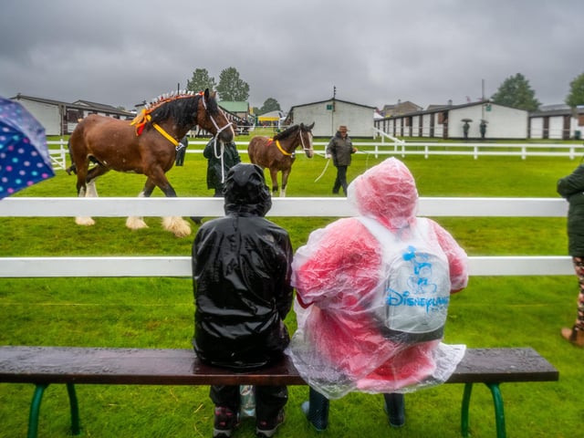 Visitors to the show sheltering from the heavy rain while watching Class 37 Shire Brood Mare, with own foal at foot