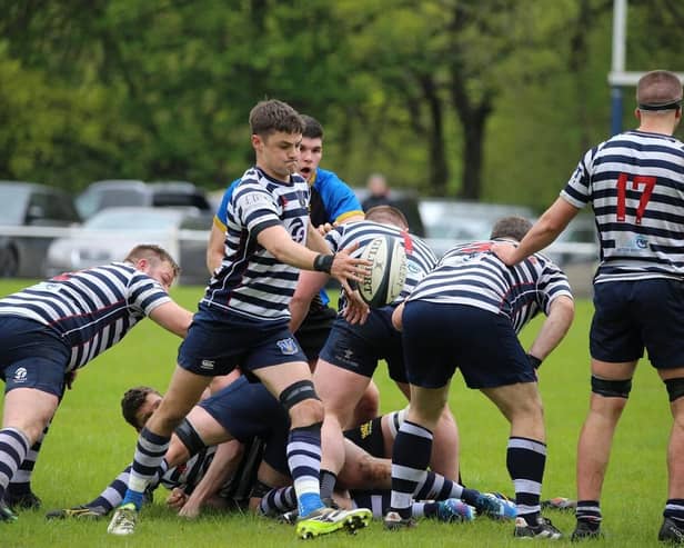 Pocklington RUFC scrum-half Rob Boddy boots the visitors onto the attack at Bradford. PHOTO BY BECKY BRETT