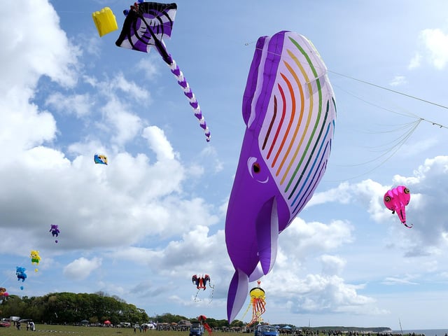 A huge whale dwarfs the other kites.