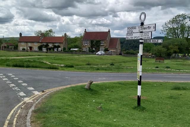 Scene-setter of picturesque Goathland. photo: Duncan Atkins