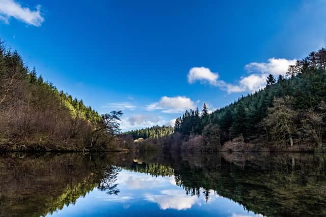 Dalby Forest is a popular spot among walkers and cyclists.