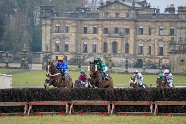 Sinnington Point to Point at Duncombe Park - Image: Tom Milburn Photography