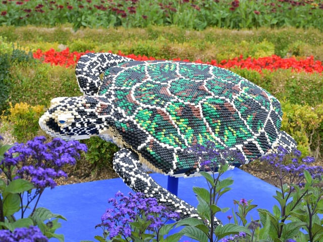 This serene turtle looks right at home with the beautiful colours of the garden.