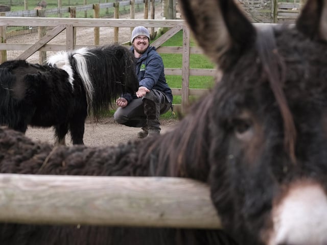 Chris Holah feeds the donkeys