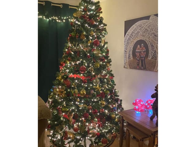 Helen Raine from Scarborough has sent this beautiful tree, whose red theme continues to the cute glowing mushrooms found to the right.
