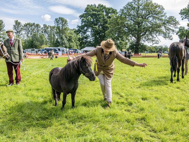 A competitor with her Shetland pony