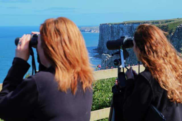 Shorewatch volunteers at RSPB Bempton Cliffs. Photo: Ellen Leach