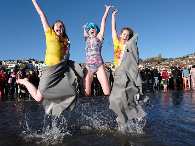 Leaping sharks