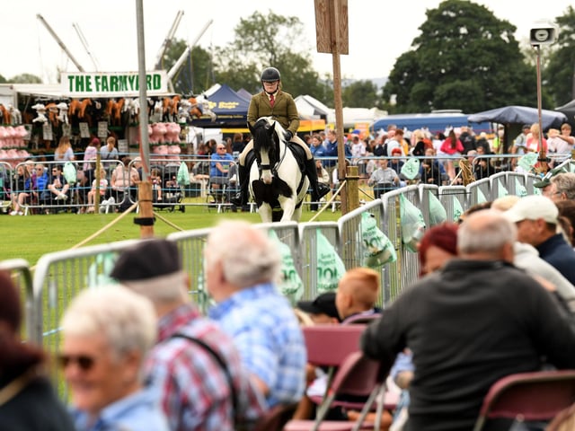 Crowds watch the equestrian events