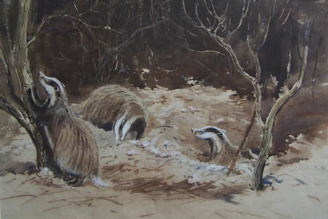Three Badgers at Sett, by Eileen Soper.