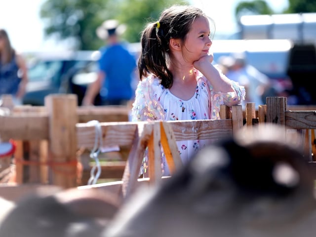 Tove-Roe Cowan at the show