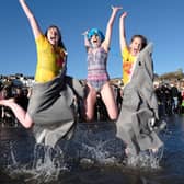 Leaping sharks at the 2024 New Year's Day Dip