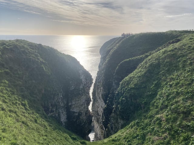Spring has truly sprung across the cliffs, with green grass vibrantly shining in the sun.