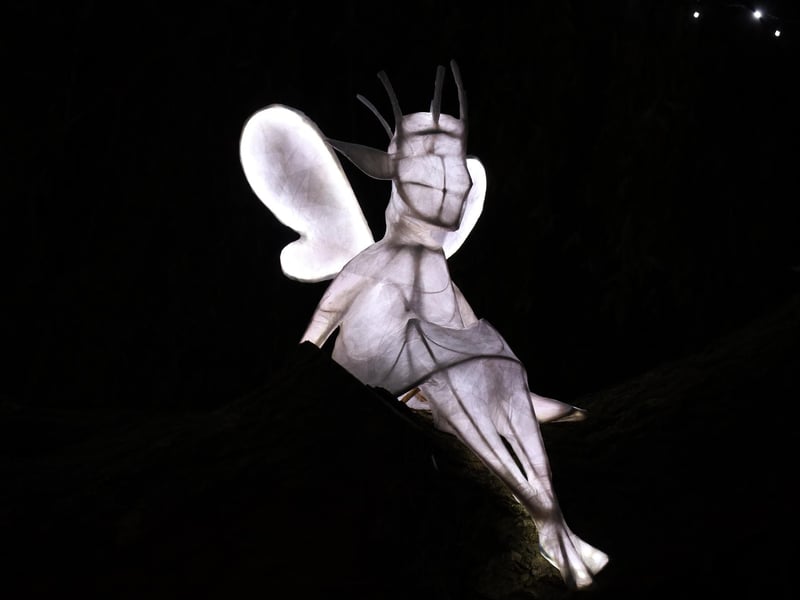 A woodland sprite spotted in a tree!