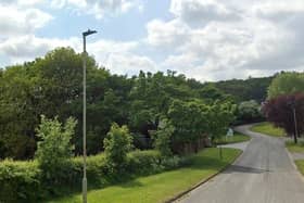 Lightfoots Road where the log cabins are located (Image: Google Maps)