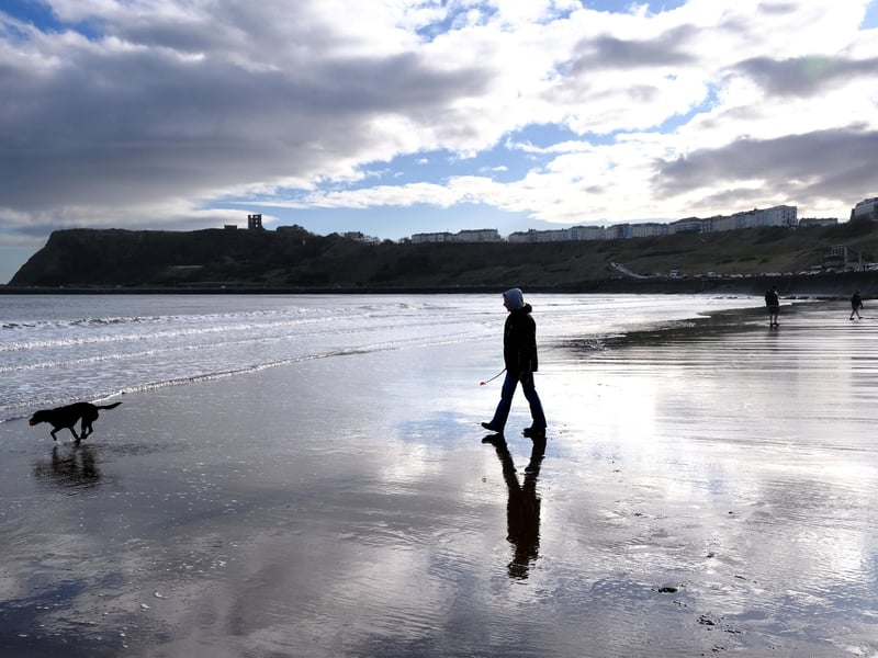 A stroll with a canine companion on Scarborough's North Bay. pictuire: Richard Ponter
