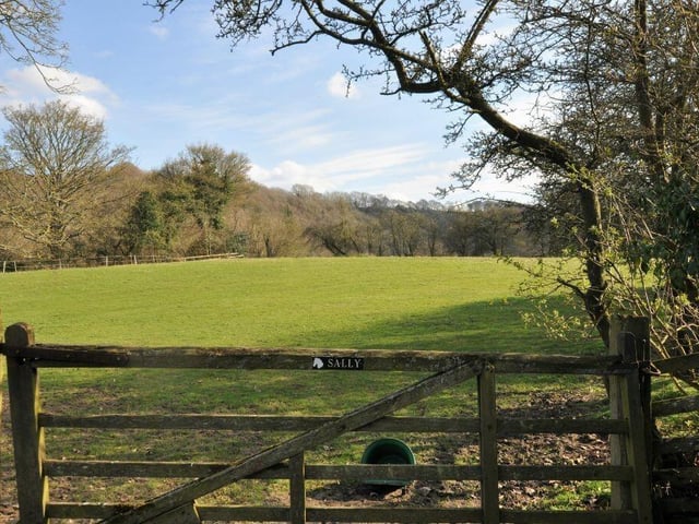 The property includes eight acres of grassland, which could interest those with horses, or with other livestock.