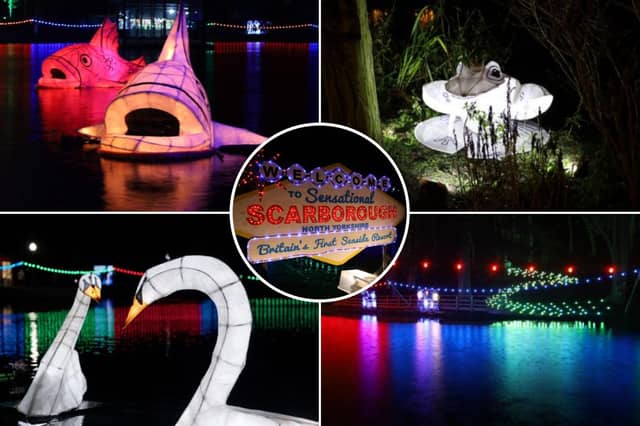 check out the photos below!