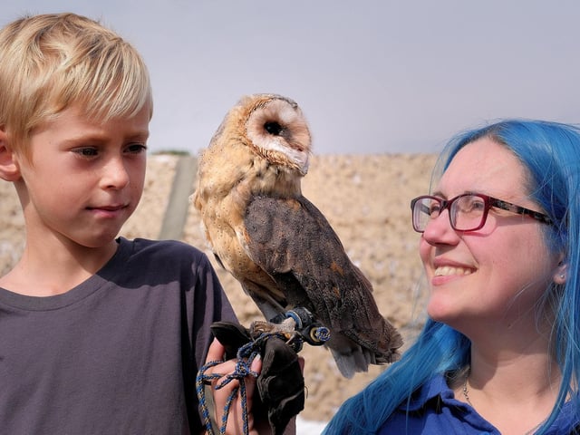 Leon with a Dusty Dark Breasted Barn Owl with Lucy Stenbeck
