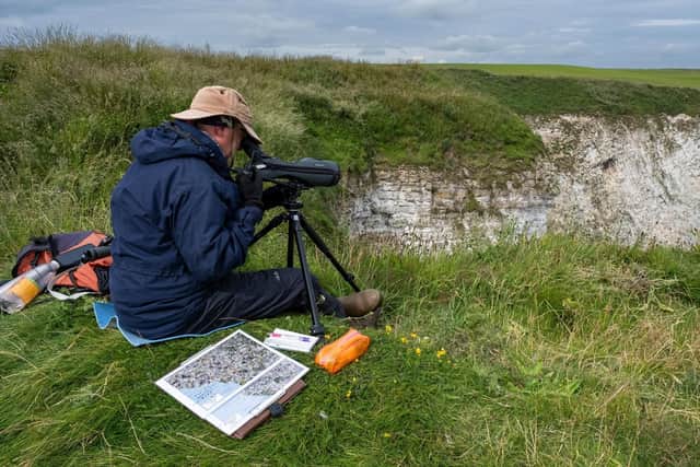 Monitoring the seabirds at RSPB Bempton Cliffs. Photo: Sam Turley