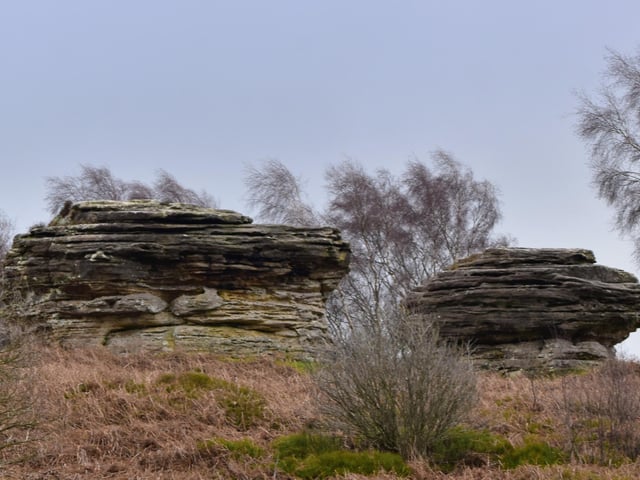 The Bridestones at Dalby, by Heather Palmer.