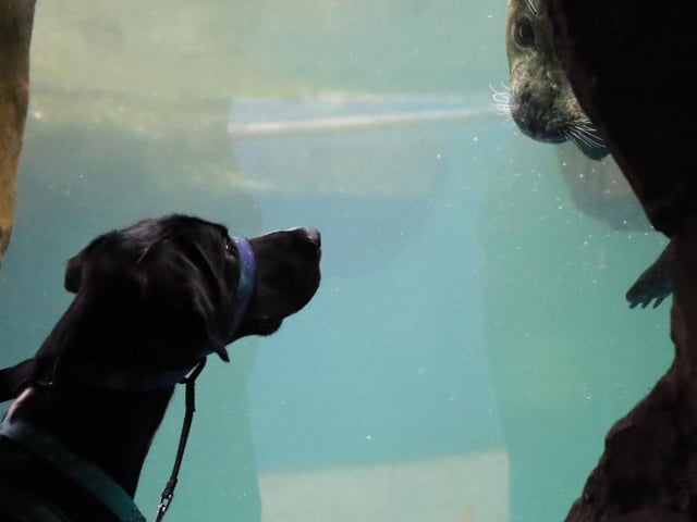 A magical moment making eye contact together.
