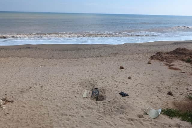 A member of the public made the upsetting discovery on a quiet stretch of beach off Holmpton Road at Hollym. Photo: RSPCA