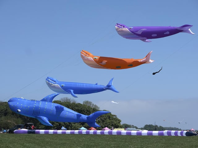 Kites in the sky