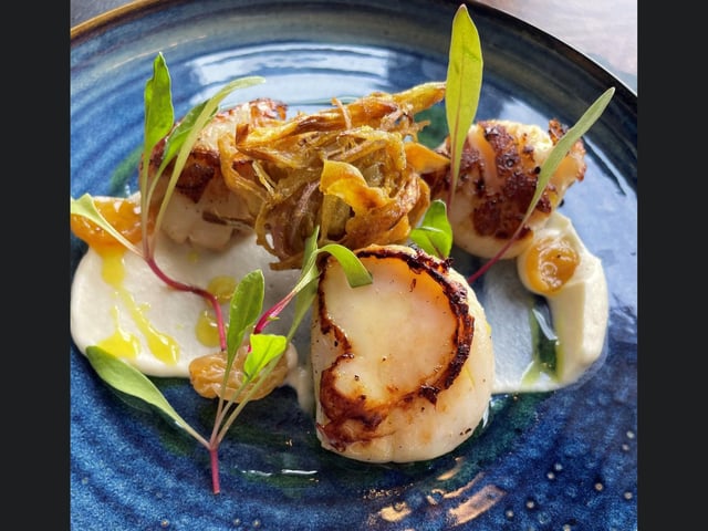 Scallops
