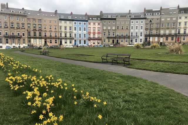 Spring arrives at Whitby's Royal Crescent, by Carol Cull.