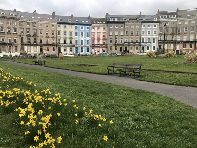 Spring arrives at Whitby's Royal Crescent, by Carol Cull.
